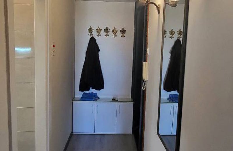 Alquiler de un acogedor apartamento tipo estudio, 24 m², Vračar, Belgrado, Serbia